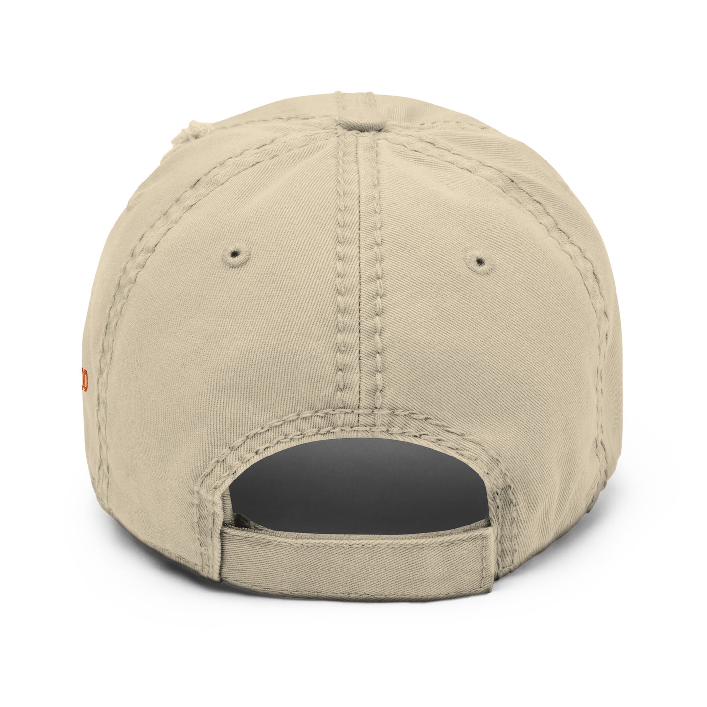 Instructed - Distressed Dad Hat