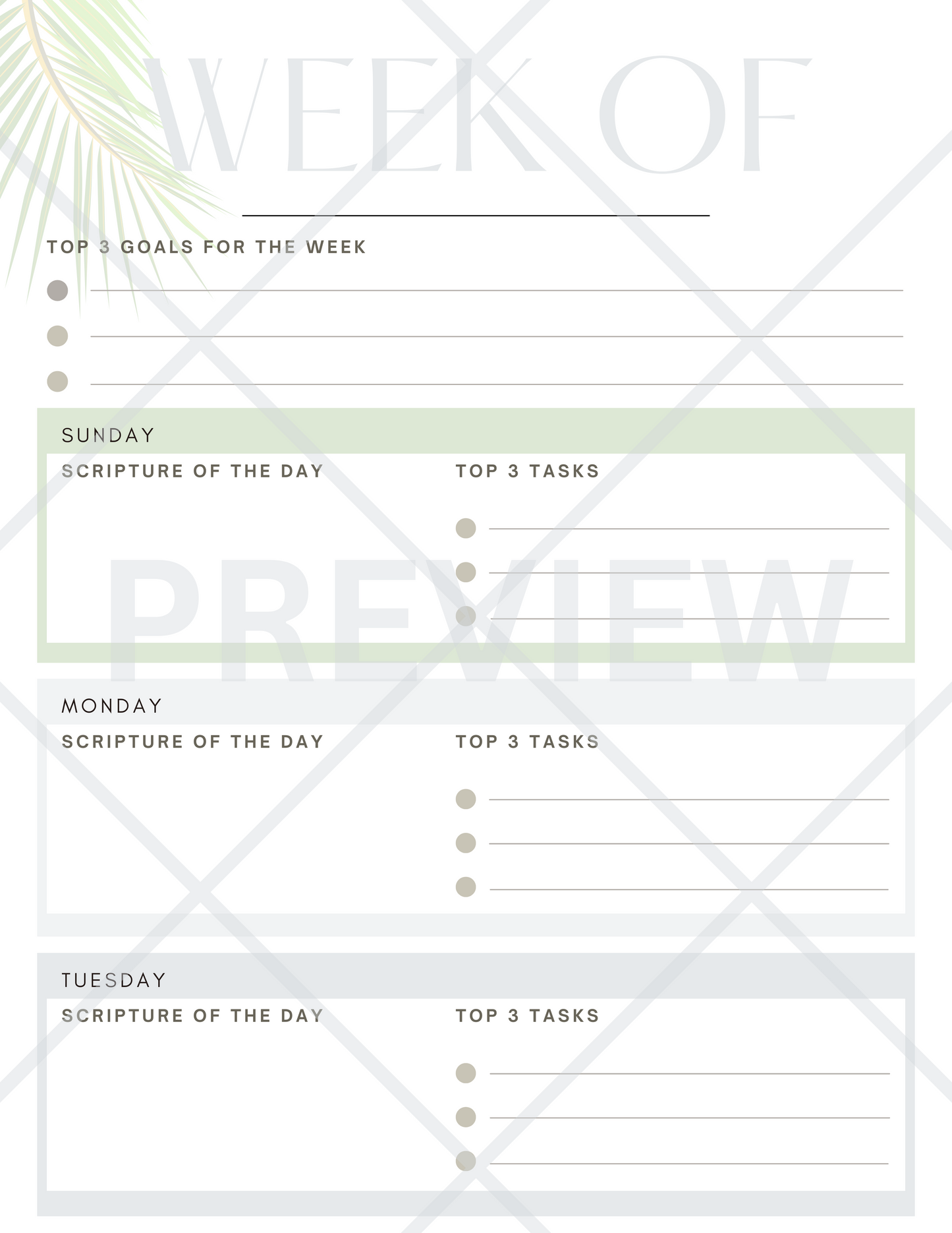 Seek Ye First Prayer Planner (Printed Booklet)