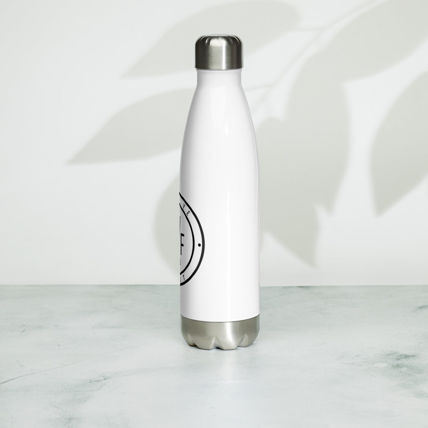 Stainless Steel Water Bottle