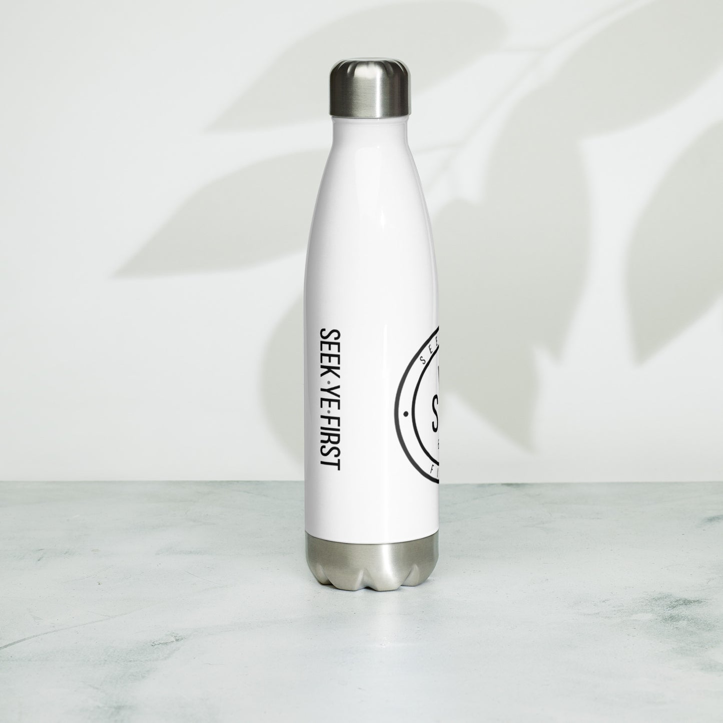 Stainless Steel Water Bottle